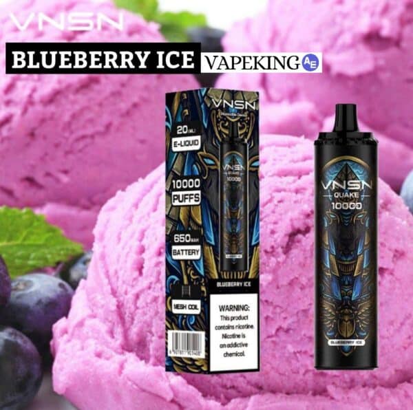 VNSN QUAKE 10000 PUFFS DISPOSABLE VAPE Blueberry Ice 1