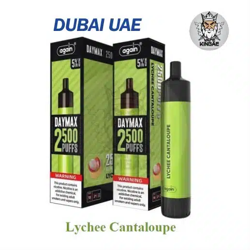 Again Daymax Disposables 2500puffs Lychee Cantaloupe