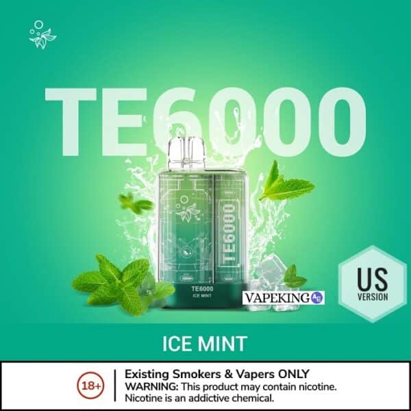 ELFBAR-TE6000-ICE-MINT