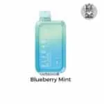 elf bar bc 10000 Blueberry Mint.jpg