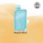 elf bar bc 10000 Miami Mint