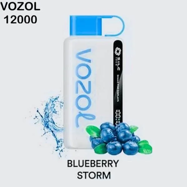 vozol-star-12000-puffs-blueberry-storm