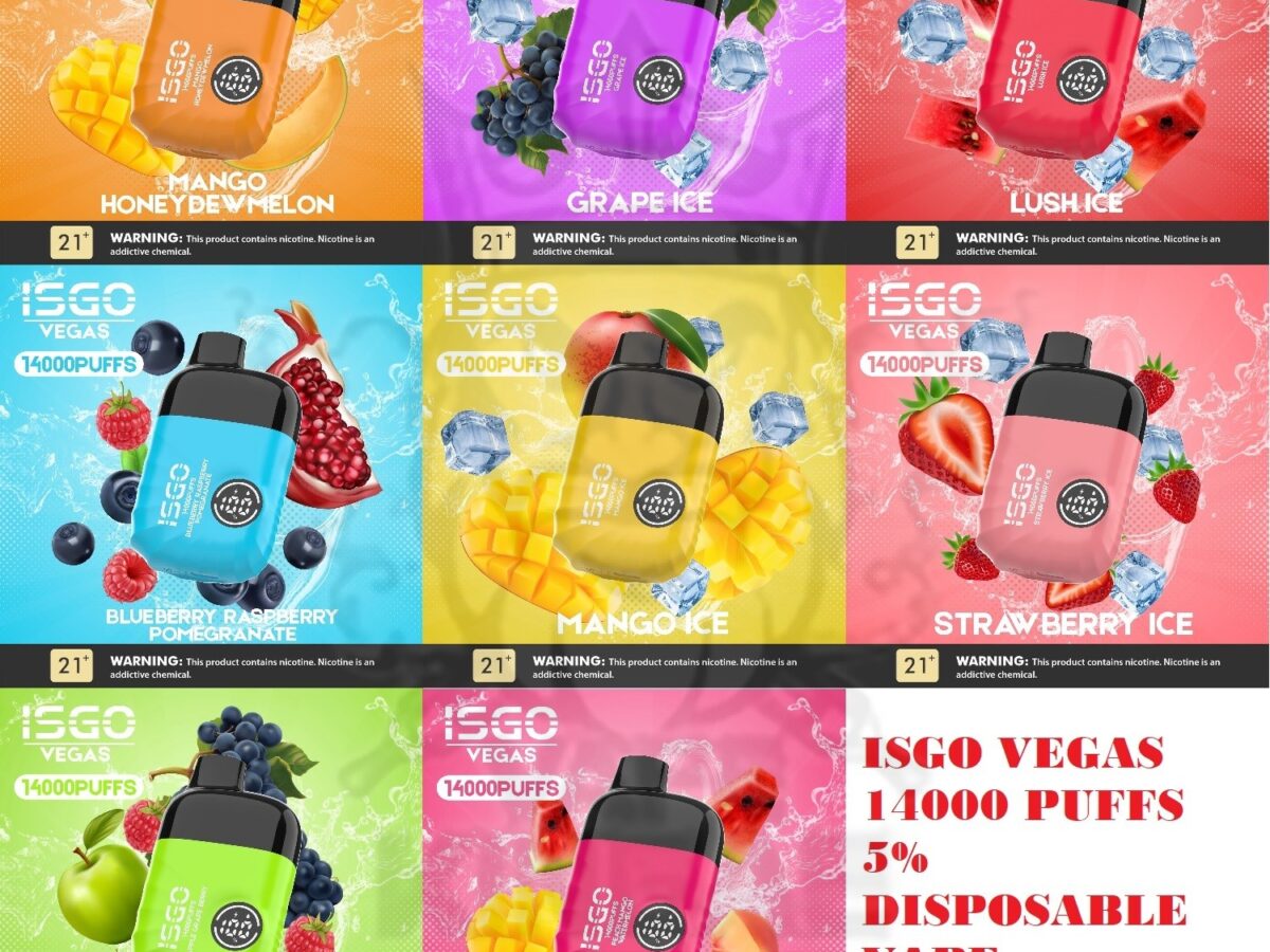 ISGO VEGAS 14000 PUFFS DISPOSABLE VAPE - VAPEKING AE