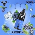 Kalyan 12000 Blueberry Ice