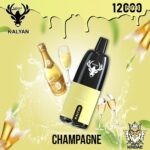 Kalyan 12000 Champagne