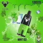 Kalyan 12000 Mint Ice