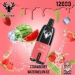 Kalyan 12000 Strawberry Watermelon Ice