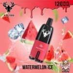 Kalyan 12000 Watermelon Ice