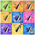 VOZOL STAR 20000 PUFFS DISPOSABLE VAPE