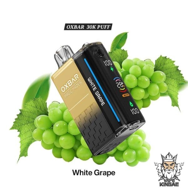 Oxbar Magic Maze 2 30000 Puffs Disposable Vape