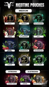 NICOTINE POUCHES