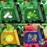 HQD SHISHA 20000 PUFFS DISPOSABLE VAPE